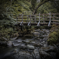 Buy canvas prints of Path to Aber Falls 5 by stewart oakes