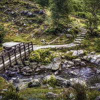 Buy canvas prints of Path to Aber Falls 10 by stewart oakes