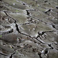 Buy canvas prints of cracked earth under the bridge by Ilona Manerske