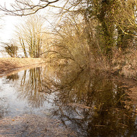 Buy canvas prints of Muck Fleet, Stokesby 2013 by Howie Marsh