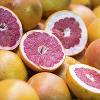 Buy canvas prints of Red Grapefruit by Martin Patten