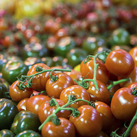 Buy canvas prints of Various  luscious ripe tomatoes by Martin Patten