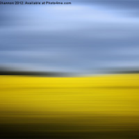 Buy canvas prints of Yellow Rapeseed field and sky by Phillip Shannon