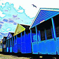 Buy canvas prints of Beach huts with seagull by Janet Tate