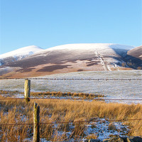 Buy canvas prints of Snow capped Skiddaw by Janet Tate