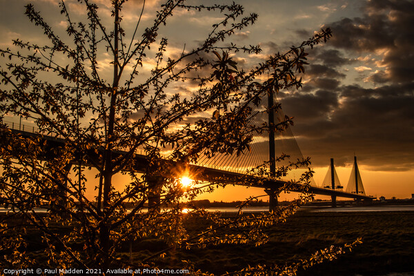 Mersey Gateway Bridge Sunset Picture Board by Paul Madden