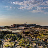 Buy canvas prints of Hilbre Island from the Middle Eye Island by Paul Madden