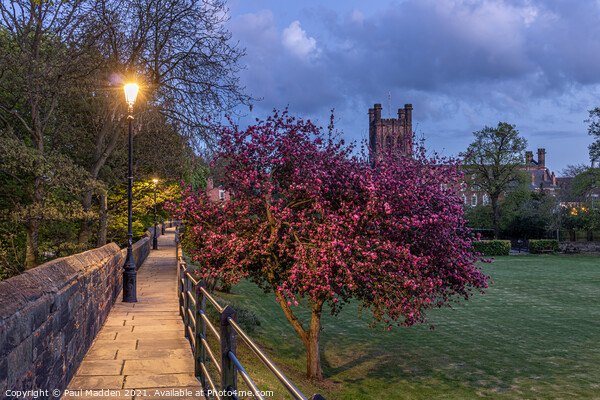 Chester Cathedral from the city walls. Picture Board by Paul Madden