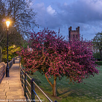 Buy canvas prints of Chester Cathedral from the city walls. by Paul Madden