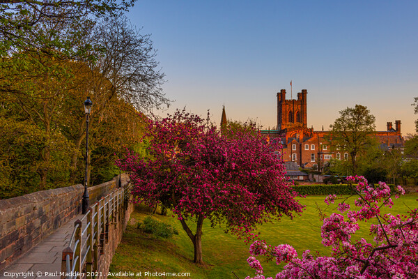 Chester city walls and cathedral Picture Board by Paul Madden