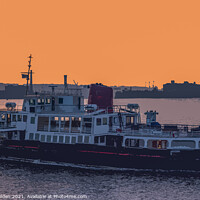 Buy canvas prints of Royal Iris at sunset by Paul Madden
