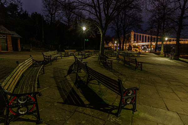 Benches at the River Dee Picture Board by Paul Madden