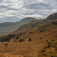 Buy canvas prints of Blea Tarn from Side Pike by Paul Madden