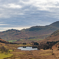 Buy canvas prints of Blea Tarn Lake District from Side Pike by Paul Madden