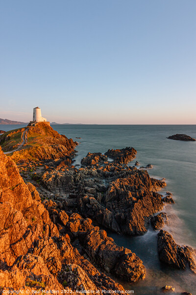 Goleudy Twr Mawr lighthouse rocks Picture Board by Paul Madden