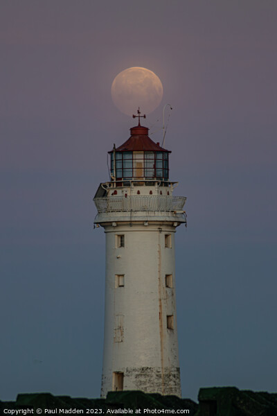 New Brighton lighthouse and full moon Picture Board by Paul Madden
