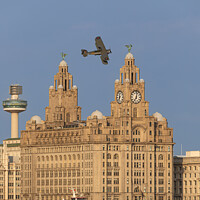 Buy canvas prints of Fairey Swordfish along the River Mersey by Paul Madden