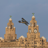 Buy canvas prints of Swordfish flying past the Liver Building by Paul Madden