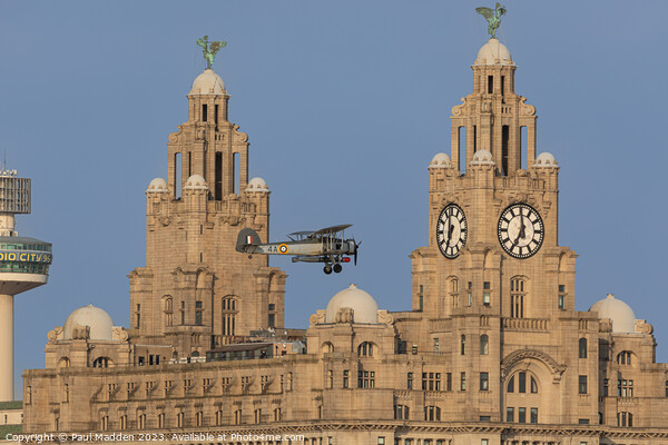 Swordfish past the Liver Building Picture Board by Paul Madden