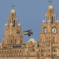 Buy canvas prints of Swordfish past the Liver Building by Paul Madden