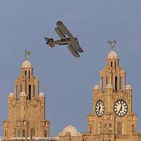 Buy canvas prints of Swordfish past the Royal Liver Building by Paul Madden