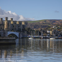 Buy canvas prints of Conwy Marina and Conwy Castle by Paul Madden