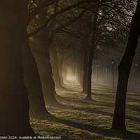 Buy canvas prints of Early morning in Sefton Park by Paul Madden