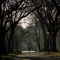 Buy canvas prints of Jogger in the park by Paul Madden