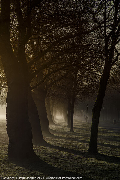Sefton Park in the morning Picture Board by Paul Madden