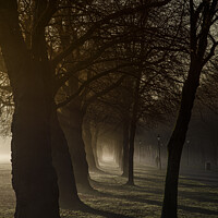 Buy canvas prints of Sefton Park in the morning by Paul Madden