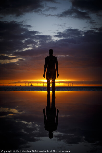 Crosby Beach at sunset Picture Board by Paul Madden