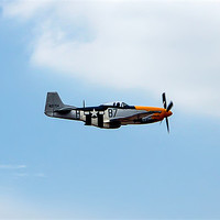 Buy canvas prints of P51 Mustang by Paul Madden