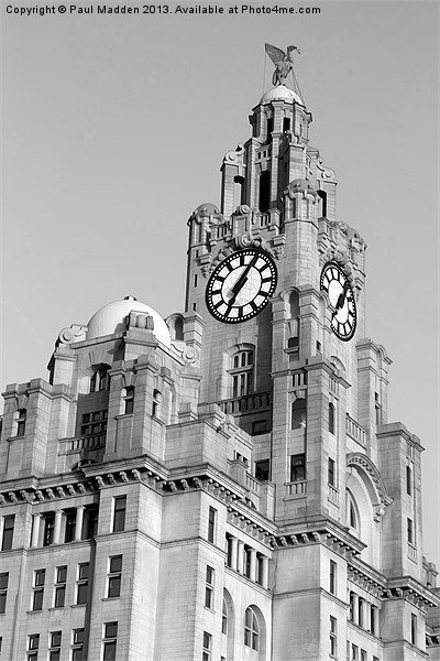 Royal Liver Building Picture Board by Paul Madden