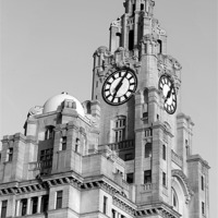 Buy canvas prints of Royal Liver Building by Paul Madden
