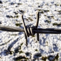 Buy canvas prints of Barbed wire in the snow by Paul Madden