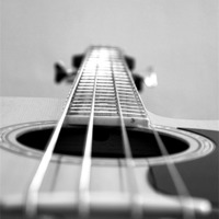 Buy canvas prints of Acoustic Bass Guitar by Paul Madden