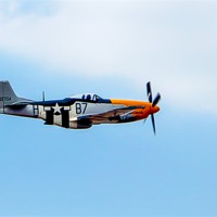 Buy canvas prints of P51 Mustang by Paul Madden