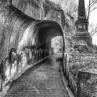 Buy canvas prints of Spooky tunnel by Paul Madden