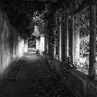 Buy canvas prints of Corridor through the past by Paul Madden
