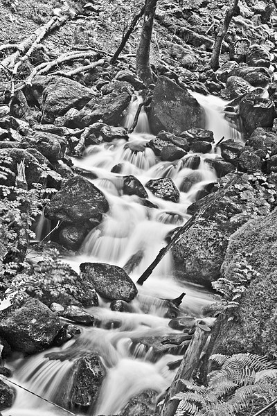 Cadair Idris Waterfall Black And White Picture Board by Paul Madden
