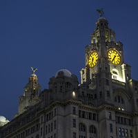 Buy canvas prints of The Liver Building by Paul Madden