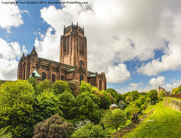 Anglican Cathedral Liverpool Picture Board by Paul Madden
