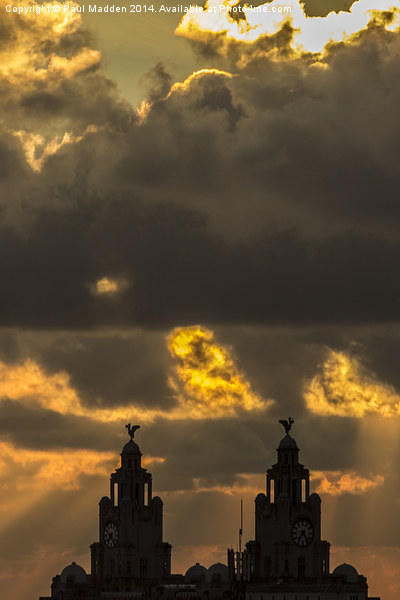 Fiery Sky Above The Liver Building Picture Board by Paul Madden