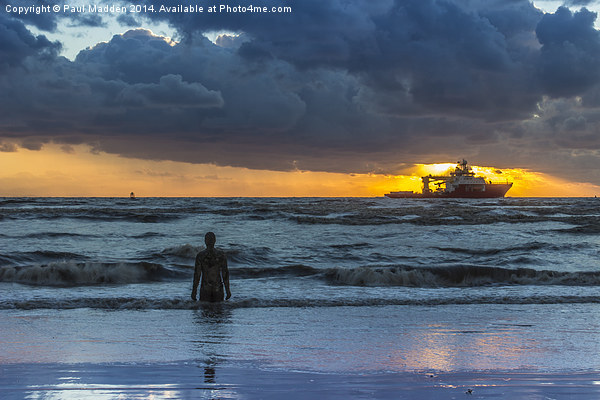 The Polar King from Crosby Beach Picture Board by Paul Madden