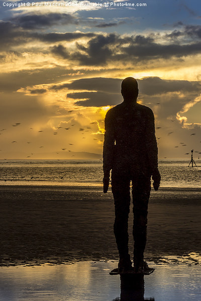 Crosby Beach golden skies Picture Board by Paul Madden