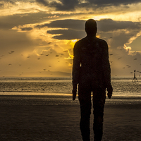 Buy canvas prints of Crosby Beach golden skies by Paul Madden