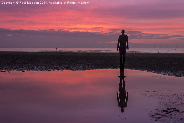 Pink skies at Crosby Beach Picture Board by Paul Madden
