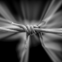 Buy canvas prints of Barbed Wire by Paul Madden