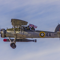 Buy canvas prints of Salute from the Swordfish by Paul Madden