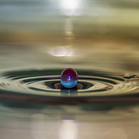 Buy canvas prints of Droplet rising by Paul Madden